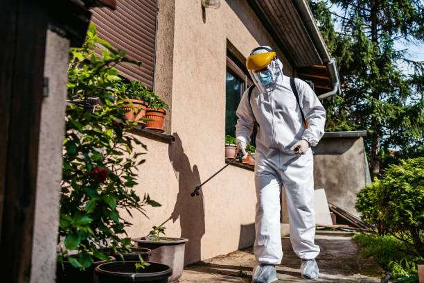 Best Flea Control Services  in Marietta, OH