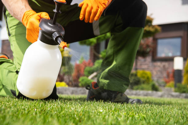 Best Pest Removal Services  in Marietta, OH