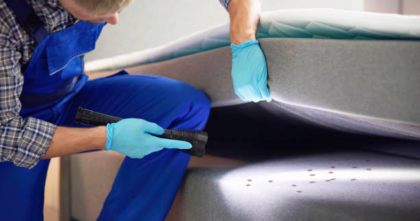 Best Best Pest Control Companies  in Marietta, OH