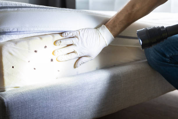 Trusted Marietta, OH Pest Control Experts