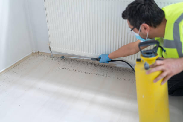 Flea Control Services in Marietta, OH