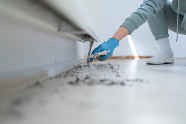 Best Termite Control Services  in Marietta, OH